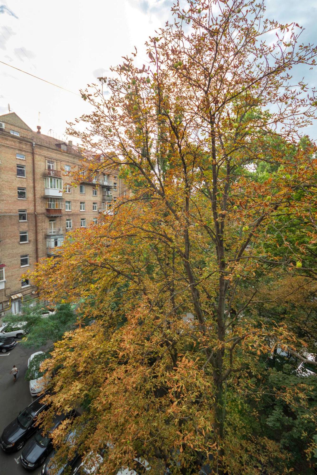 Central Apartments Kiev Luaran gambar